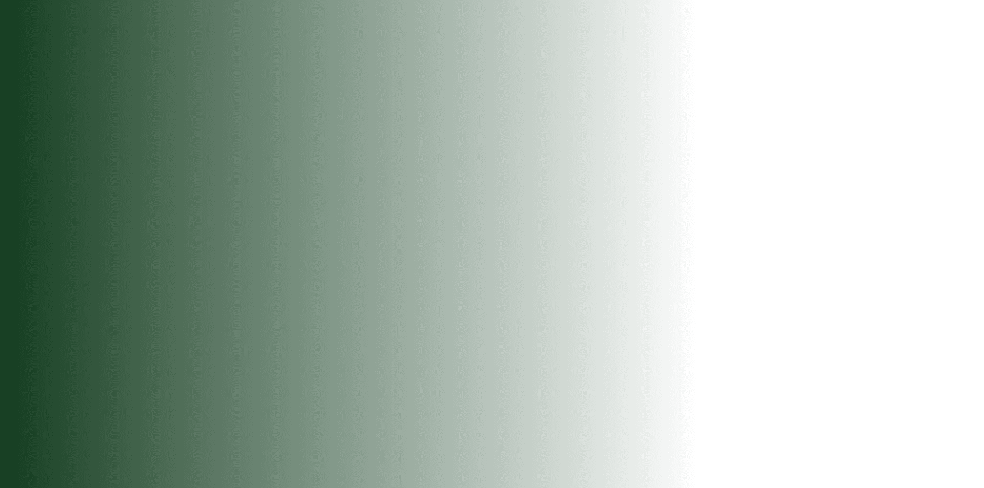 Overlay Mask